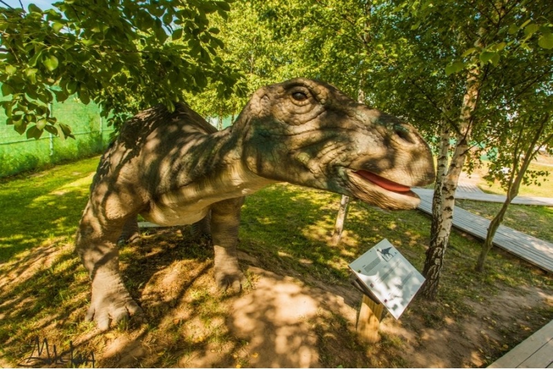 Dzień rozrywek w parku „Dino" i kibiny dla 3-osobowej rodziny na Litwie